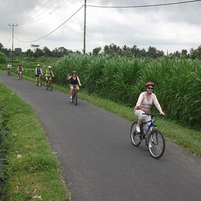 Babes Bike Tour 4 20111223 1588382237