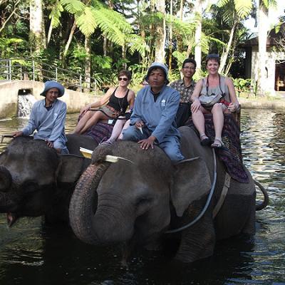 Babes With Elephant 1 20111223 1174746764